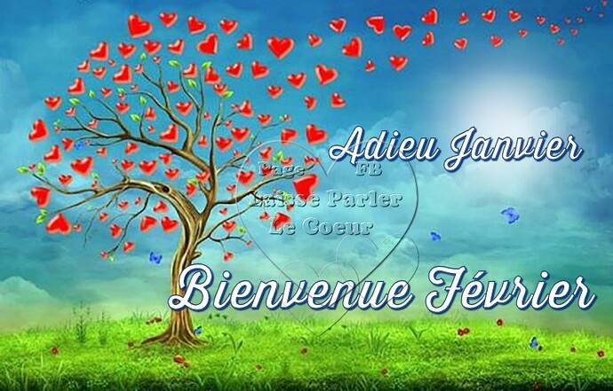 BonnesImages-fevrier_012