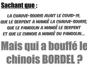 qui-a-mange-chauve-souris-chinois-covid-19-300x228